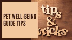 Discover 10 effective tips in our pet well-being guide for a happier, healthier life. Ensure your pet's well-being with expert advice and practical solutions.