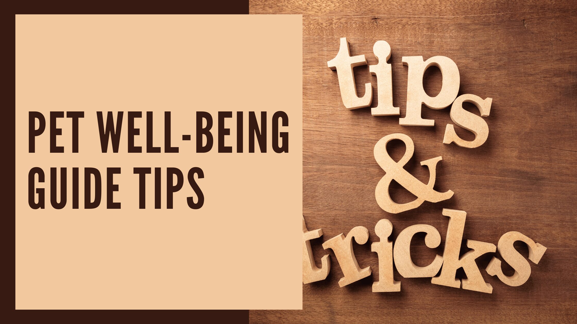 Discover 10 effective tips in our pet well-being guide for a happier, healthier life. Ensure your pet's well-being with expert advice and practical solutions.