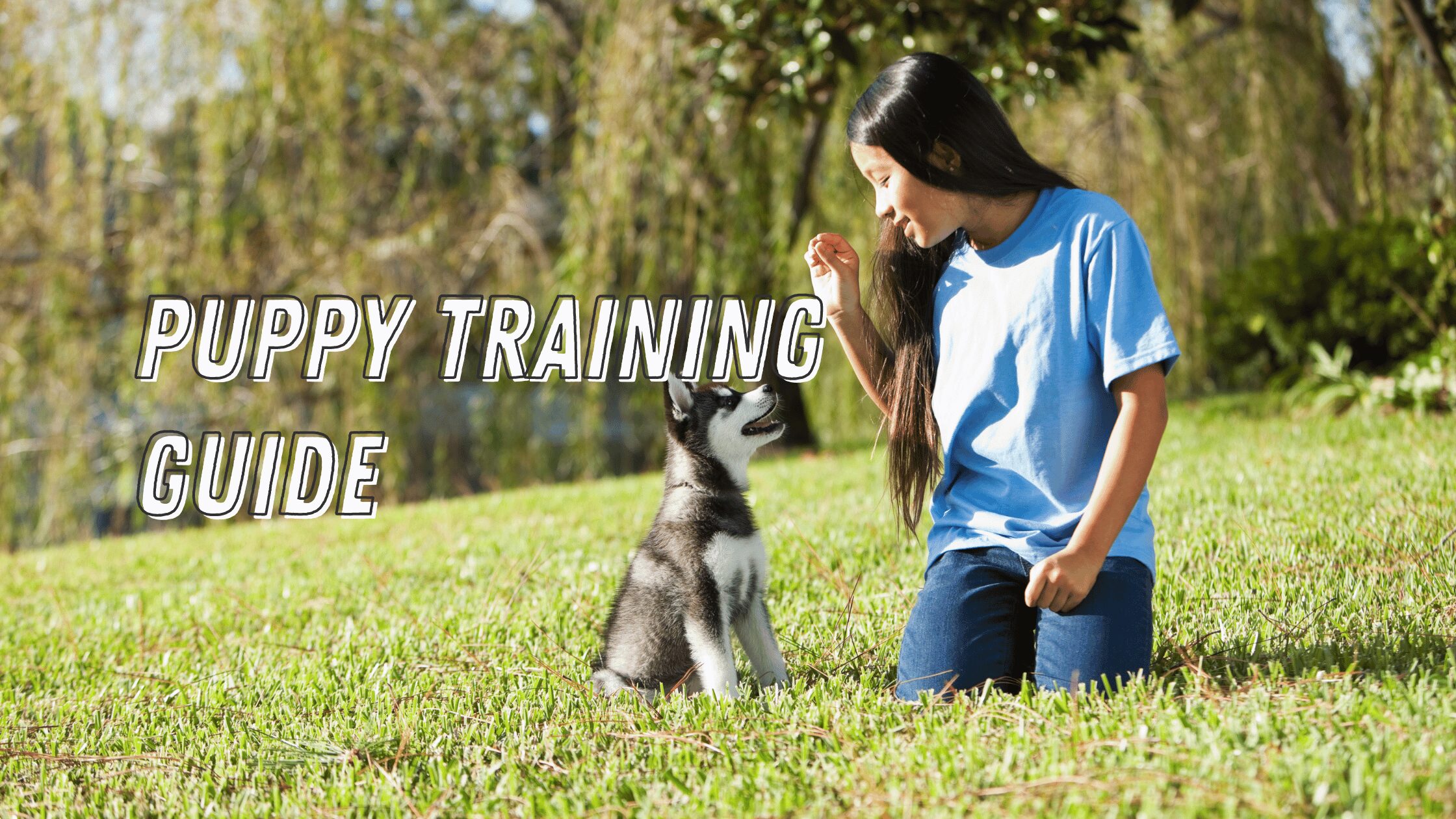 Barky Supplies Expert Tips The Ultimate Guide to Puppy Training Puppy Training Guide