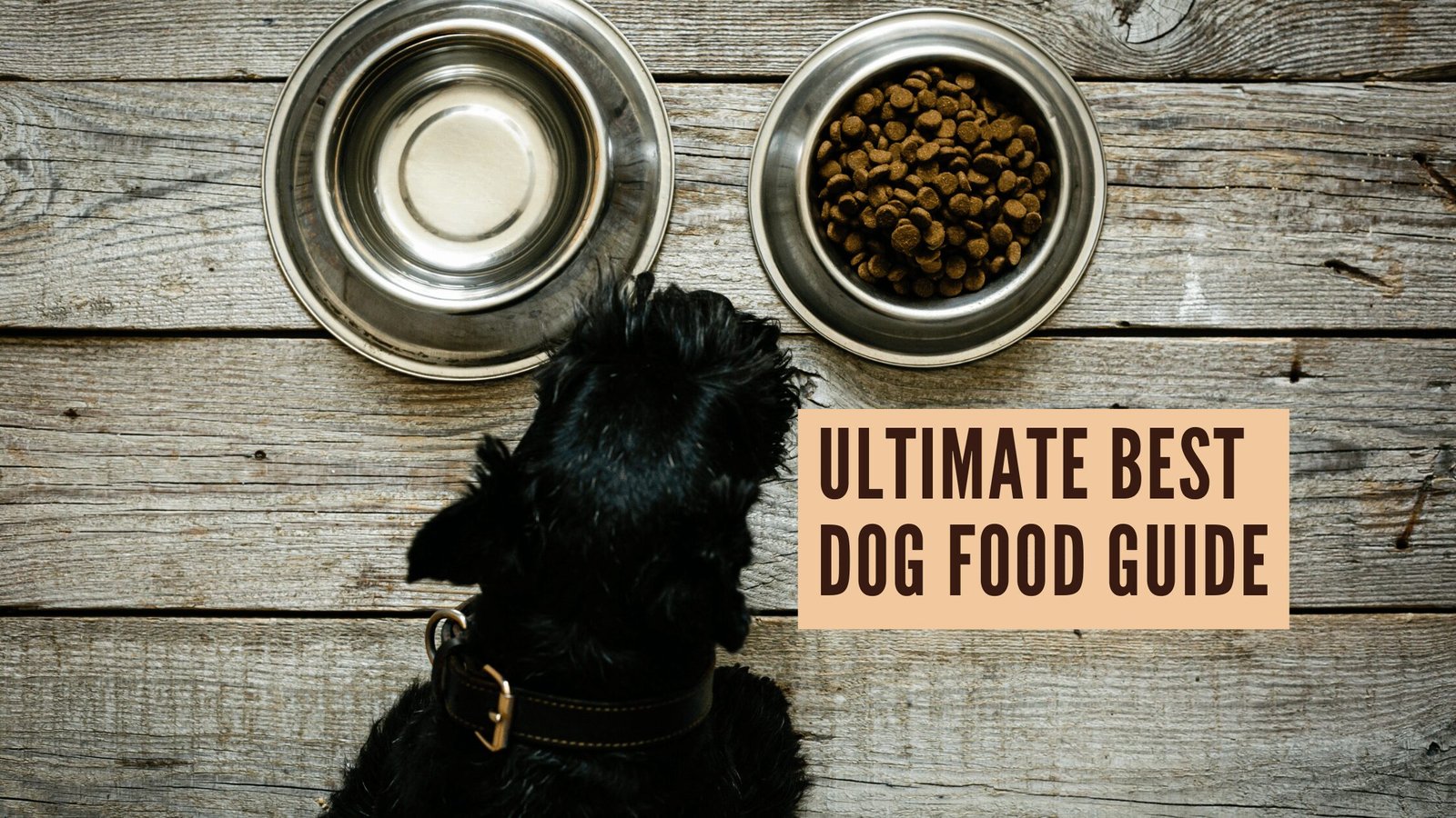 Barky Supplies Expert Tips Unleash Canine Health: Ultimate Best Dog Food Guide Best Dog Food Guide