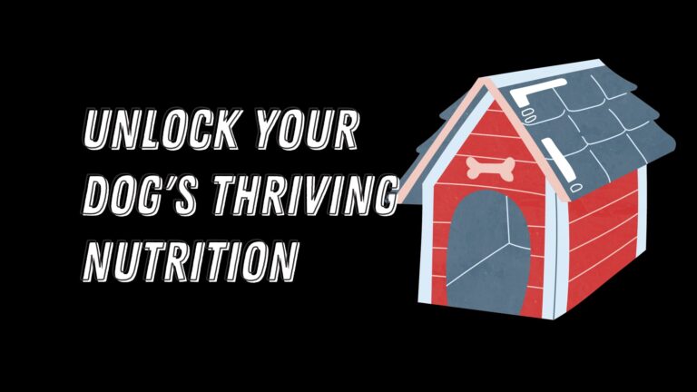 Unlock Your Dog's Thriving Nutrition: Choose the Perfect Food