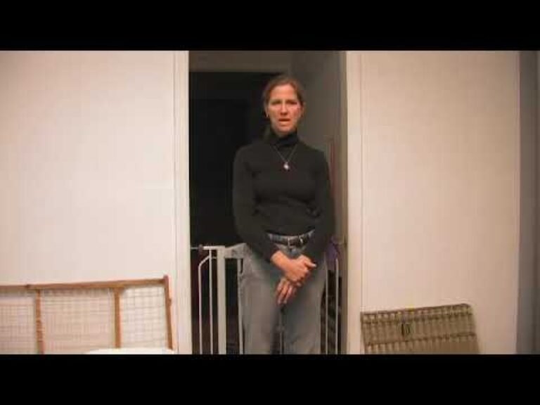 Barky Supplies Expert Tips Dog Potty Training Mastery: Mastering the Art in 6 Words 1704129754 hqdefault Barky Supplies Expert Tips