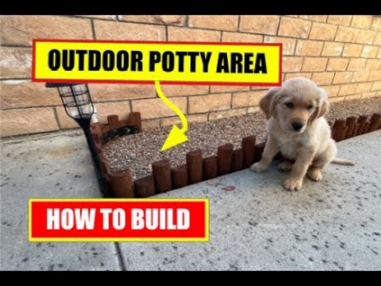 Barky Supplies Expert Tips Unleash Backyard Bliss: Create a DIY Dog Potty Paradise 1704133080 hqdefault Barky Supplies Expert Tips