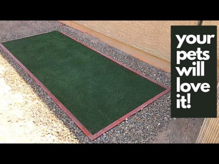 Barky Supplies Expert Tips DIY Dog Potty Area: Simple & Smart Solutions (With Guide!) 1704479387 hqdefault Barky Supplies Expert Tips