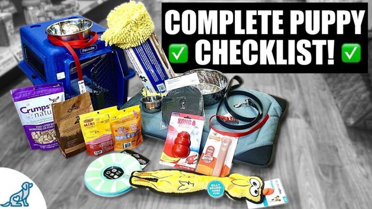 Barky Supplies Expert Tips Essential Supplies: 10 Must-Have Items for Your New Puppy 1704718768 maxresdefault Barky Supplies Expert Tips