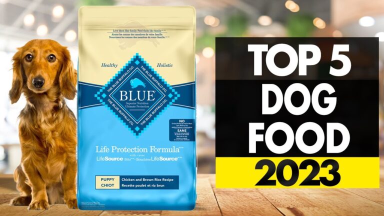 Barky Supplies Expert Tips Top 5 Holistic Dog Foods 2023: Nourish Your Pup's Happiness 1704959345 maxresdefault Barky Supplies Expert Tips