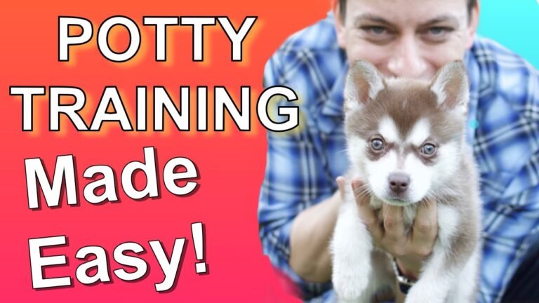 Barky Supplies Expert Tips Puppy Potty Train Fast: Guide to Accident-Free Pups 1705248763 maxresdefault Barky Supplies Expert Tips