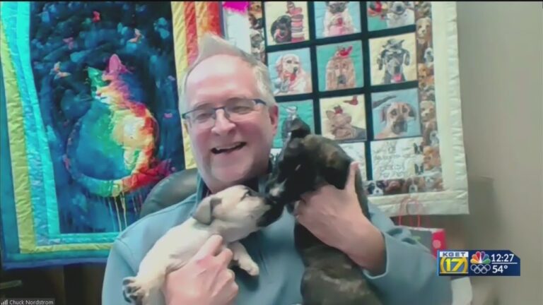 Barky Supplies Expert Tips Meet Our Pet of the Week: German Shepherd Pit Bull Mix Puppies 1705582419 maxresdefault Barky Supplies Expert Tips