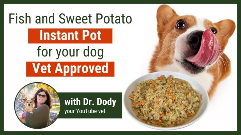 1706641580 maxresdefault Barky Supplies Expert Tips