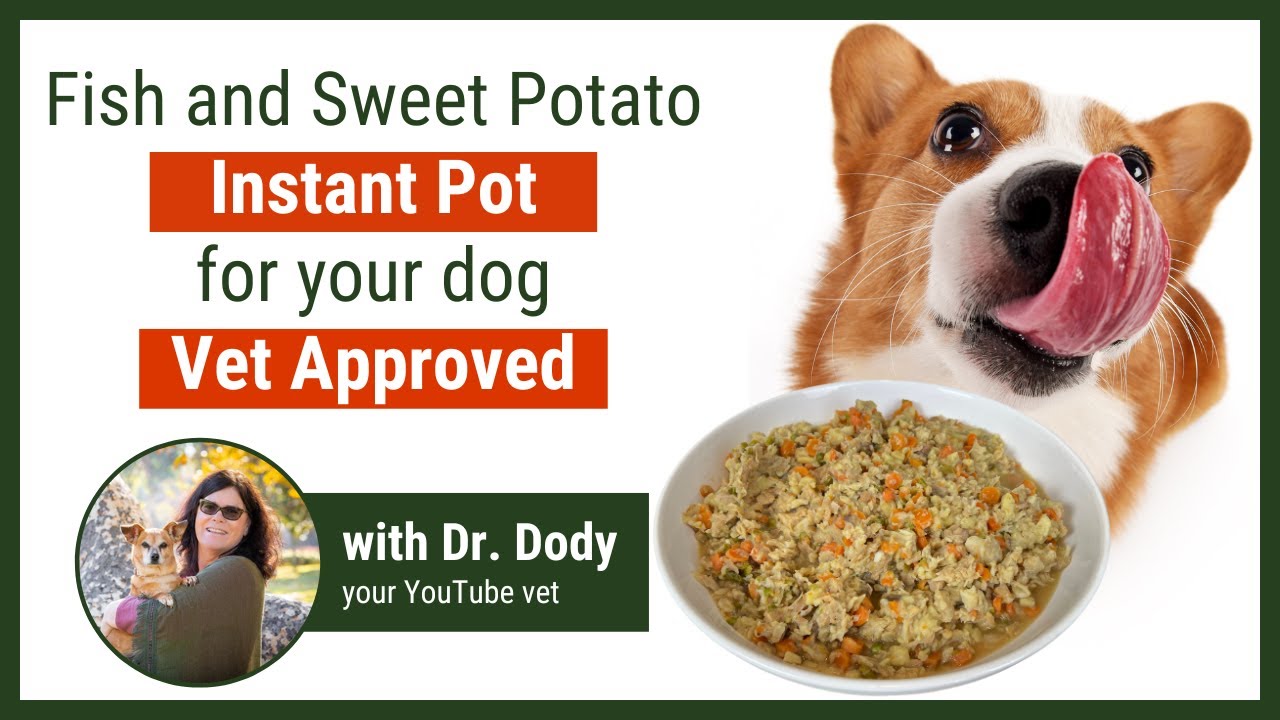 Barky Supplies Expert Tips