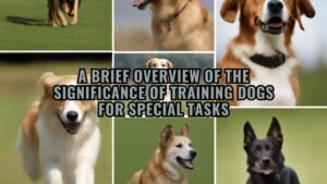 Barky Supplies Expert Tips Mastering Canine Excellence: Training Dogs for Special Tasks A brief overview of the significance of training dogs for special tasks