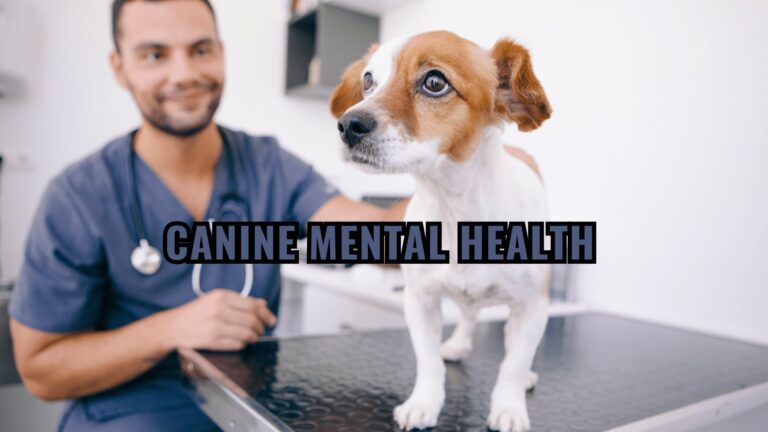 Barky Supplies Expert Tips Unveiling the Minds of Man's Best Friend: Understanding Canine Mental Health Canine Mental Health Understanding