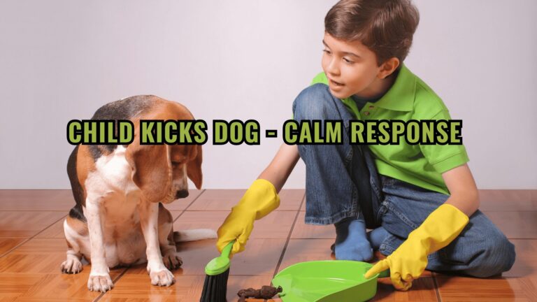 Barky Supplies Expert Tips When a Child Kicks Your Dog: How to Respond with Compassion and Understanding Child Kicks Dog - Calm Response