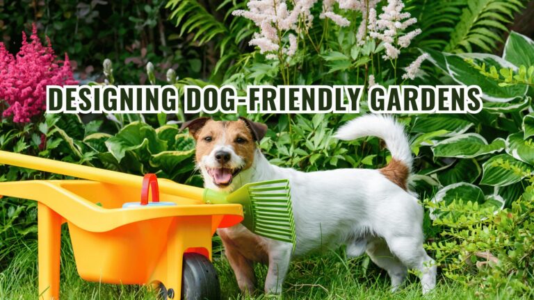 Barky Supplies Expert Tips Pup Paradise: Design a Safe & Fun Dog-Friendly Garden Pup Paradise: Design a Safe & Fun Dog-Friendly Garden