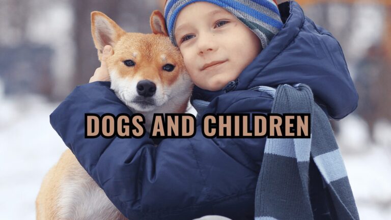 Barky Supplies Expert Tips Dogs and Children: How to Safely Foster the Bond between Dogs and Children Dogs and Children