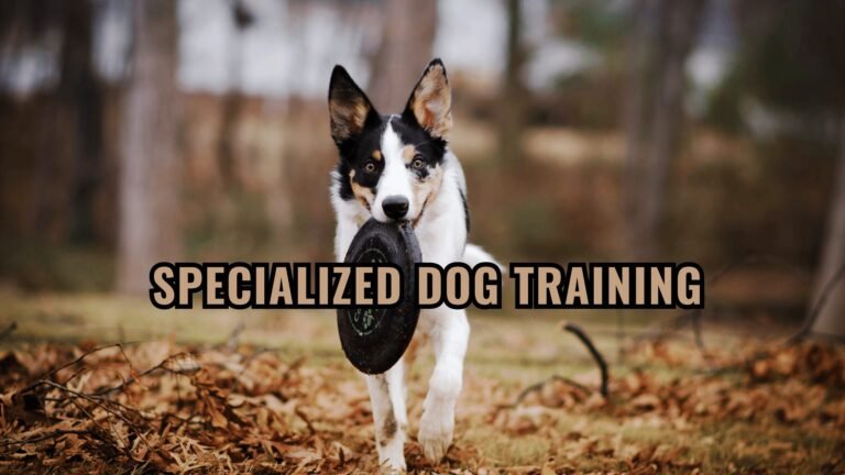 Barky Supplies Expert Tips The Art of Specialized Dog Training: Unlocking Your Canine Companion's Unique Potential Specialized Dog Training