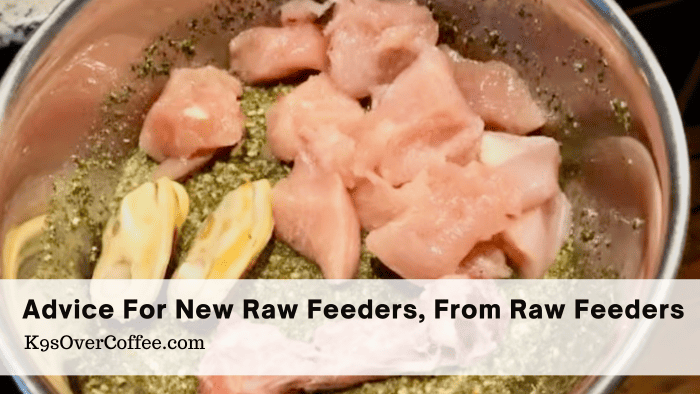 Barky Supplies Expert Tips Beginners Guide: 5 Established Raw Feeders' Expert Advice Title advice for new raw feeders optimized Barky Supplies Expert Tips