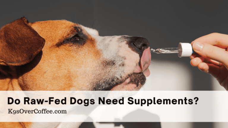 Title do raw fed dogs need supplements optimized Barky Supplies Expert Tips