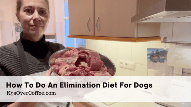 Title elimination diet for dogs optimized Barky Supplies Expert Tips
