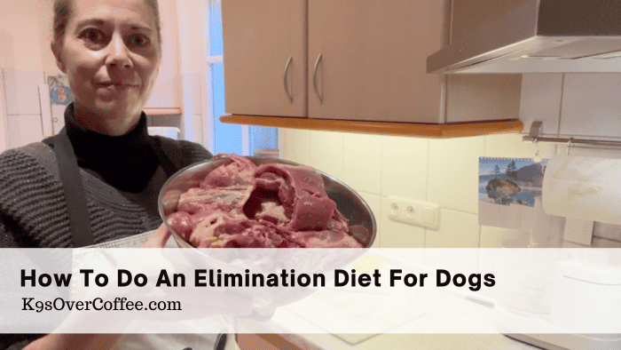 Barky Supplies Expert Tips Uncover Dog Food Allergies: Complete Elimination Diet Guide Title elimination diet for dogs optimized Barky Supplies Expert Tips