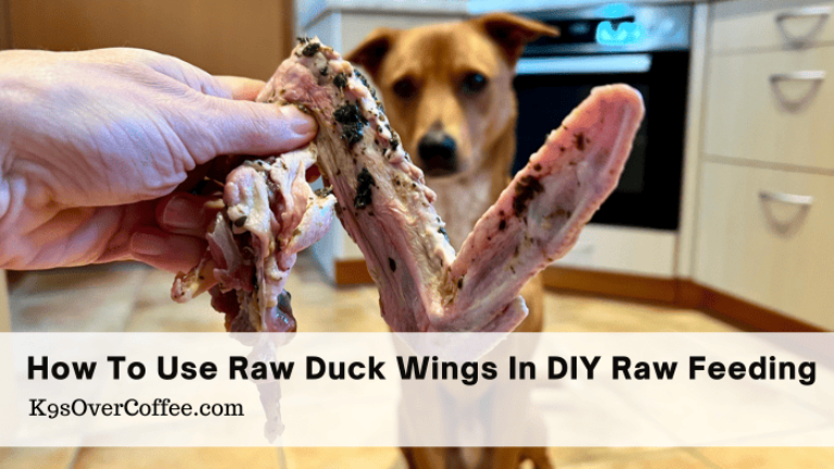 Title raw duck wings optimized Barky Supplies Expert Tips