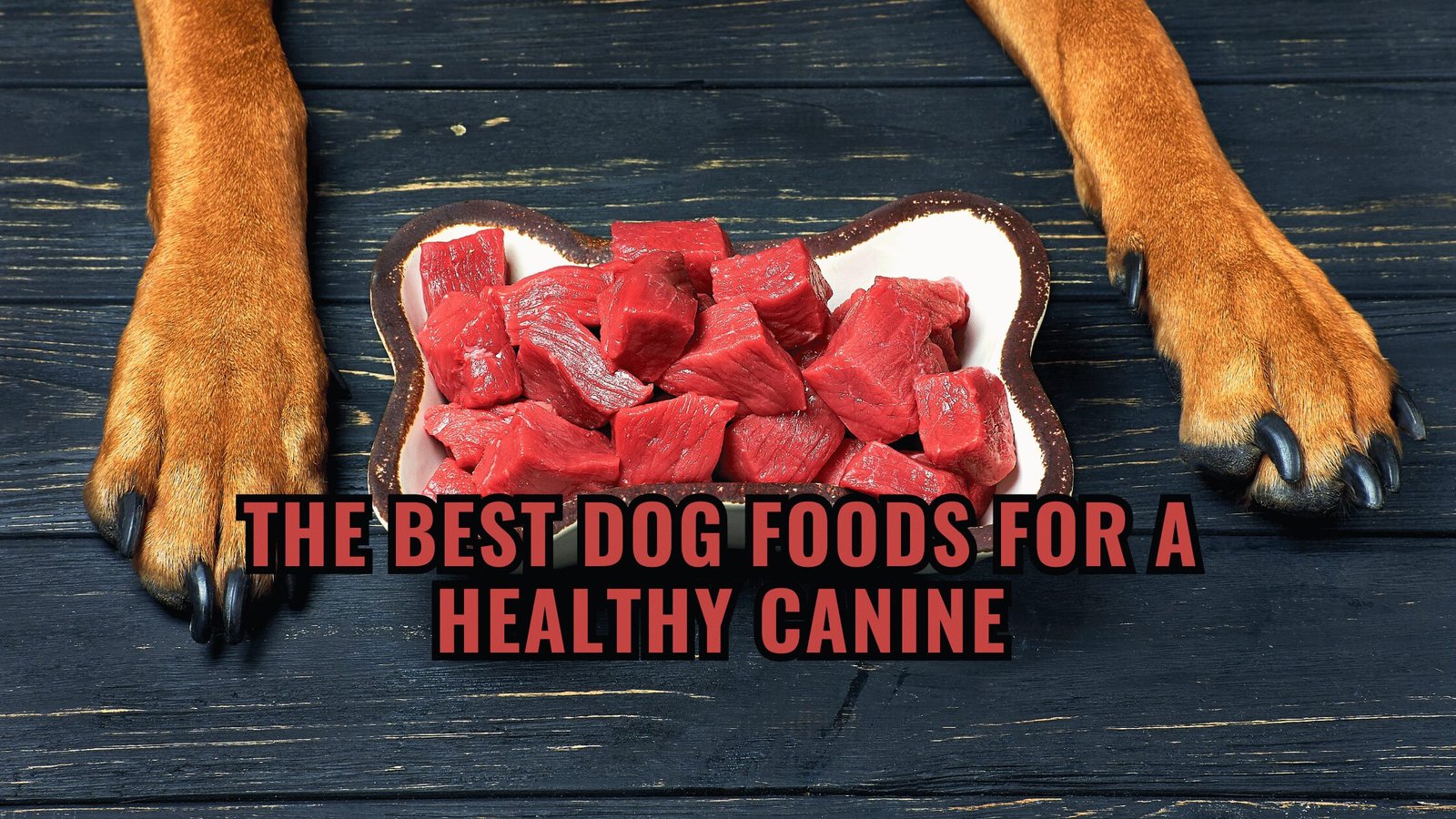 Barky Supplies Expert Tips Unlocking the Secrets: The Best Dog Foods for a Healthy Canine The Best Dog Foods for a Healthy Canine