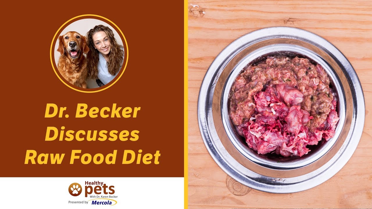 Barky Supplies Expert Tips Raw Food Diet for Dogs: Dr. Becker Discusses Benefits Barky Supplies Expert Tips