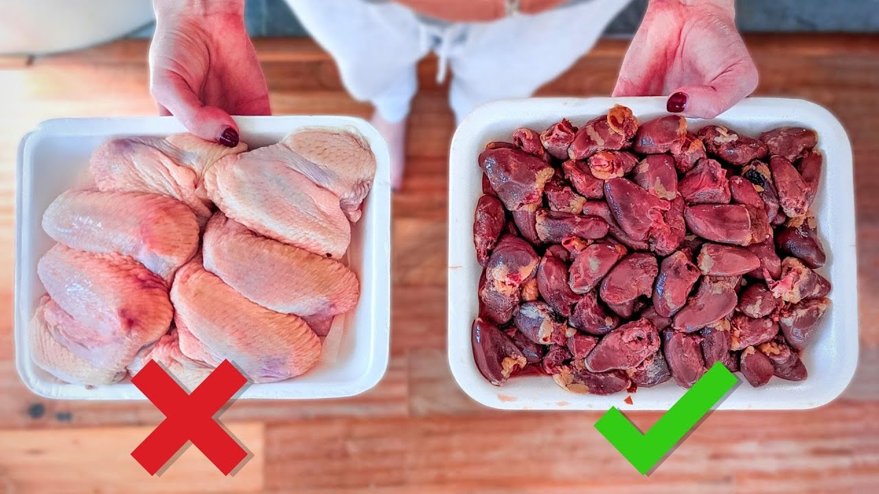 Barky Supplies Expert Tips