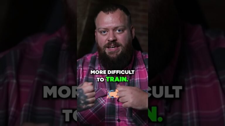 Risks of Feeding Dog Raw