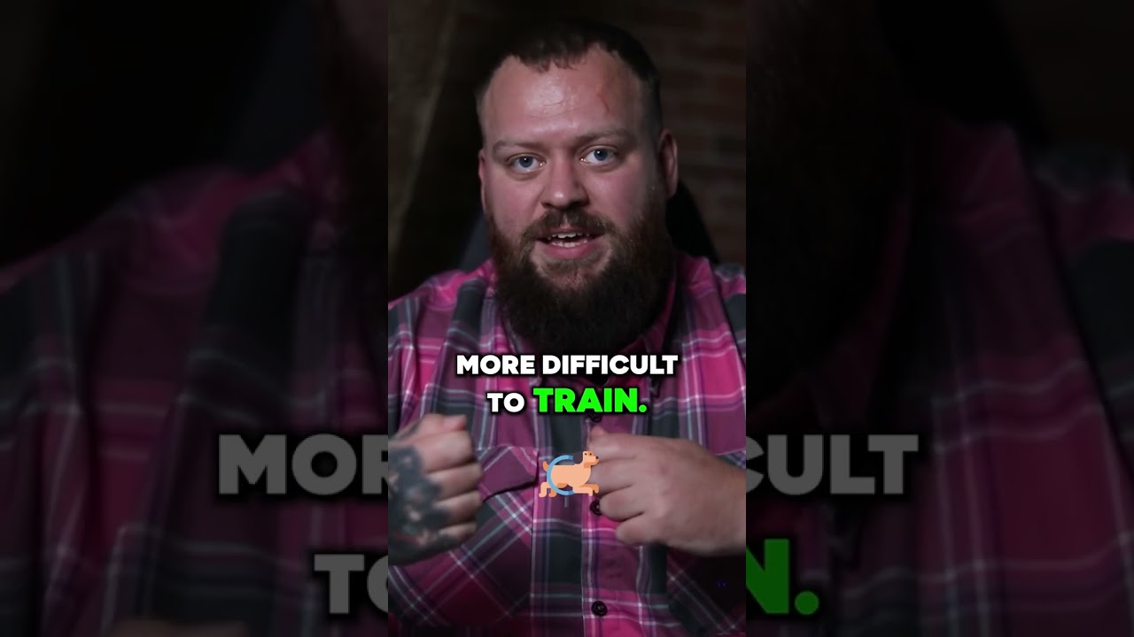 Barky Supplies Expert Tips Risks of Feeding Your Dog Raw | Bad Parts Unveiled Risks of Feeding Dog Raw