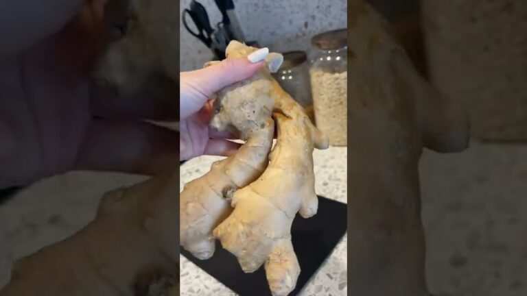 Homemade remedy upset stomach dogs