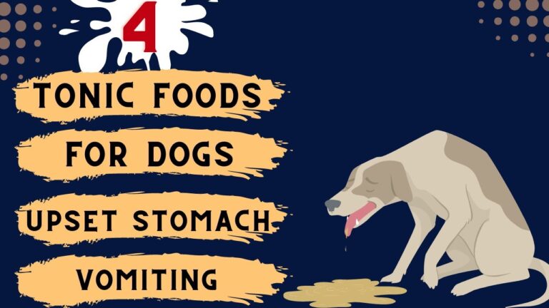 Tonic foods dogs upset stomach vomiting