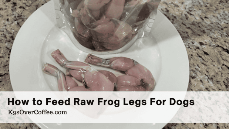 Barky Supplies Expert Tips Feed Raw Frog Legs for Dogs: Tips & Guidelines Feed Raw Frog Legs Dogs