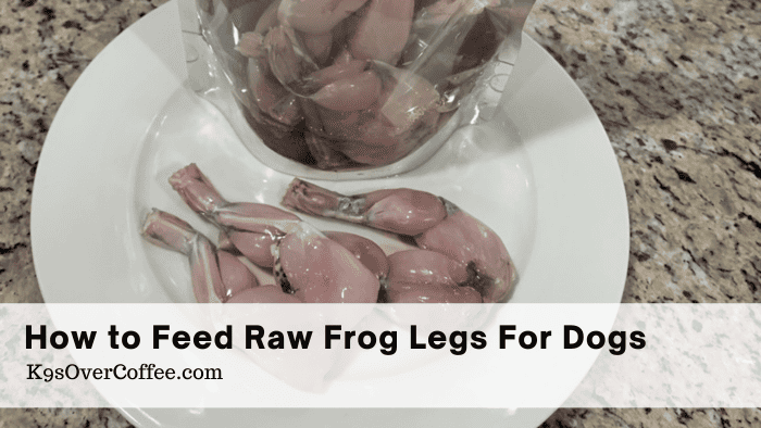 Barky Supplies Expert Tips Feed Raw Frog Legs for Dogs: Tips & Guidelines Feed Raw Frog Legs Dogs