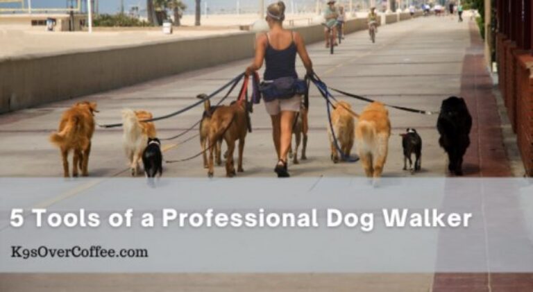 Barky Supplies Expert Tips 5 Tools of a Professional Dog Walker: Essential Equipment Professional dog walker tools