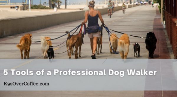 Barky Supplies Expert Tips 5 Tools of a Professional Dog Walker: Essential Equipment Professional dog walker tools