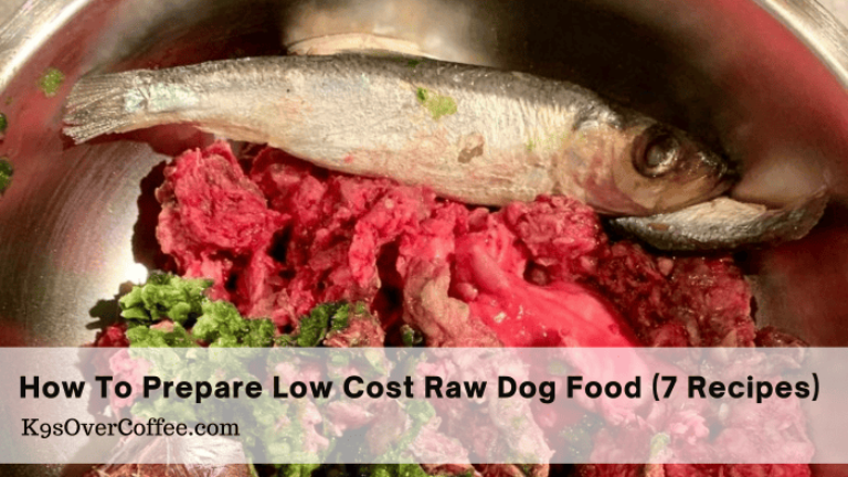 Barky Supplies Expert Tips DIY Raw Dog Food on a Budget: Save & Nourish Your Pup Budget-Friendly Raw Dog Food