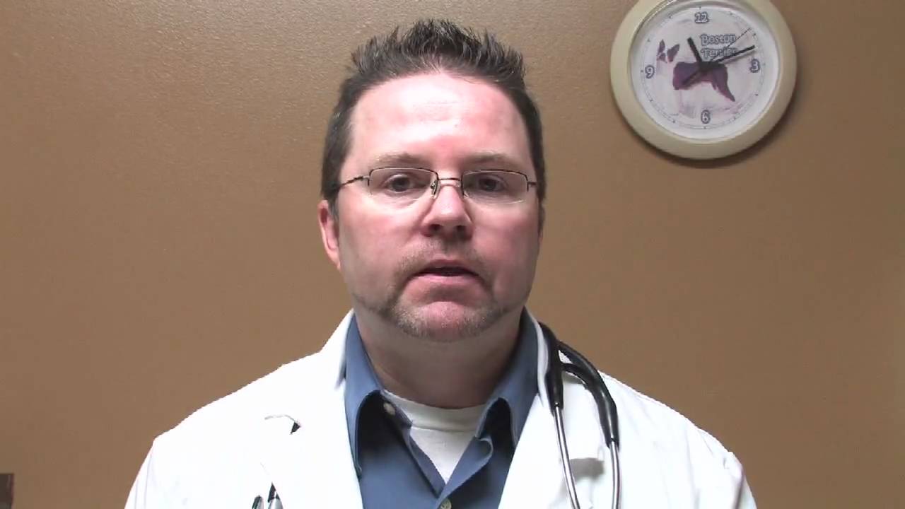 Barky Supplies Expert Tips Help Your Dog! Dog Vomiting First Aid Tips Help Your Dog! Dog Vomiting First Aid Tips