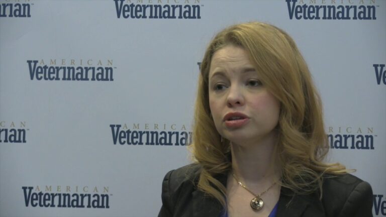 Barky Supplies Expert Tips Does Cerenia Help Dogs With Nausea? | Pet Relief Cerenia for Dog Nausea