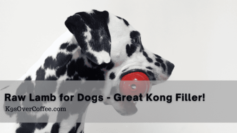Barky Supplies Expert Tips Raw Lamb For Dogs Makes A Great Kong Filler - K9sOverCoffee K9sOverCoffee Raw lamb for dogs makes a great kong filler optimized Barky Supplies Expert Tips