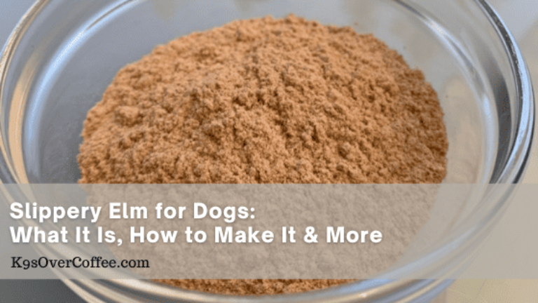 Barky Supplies Expert Tips Slippery Elm For Dogs - What It Is, How to Make It & More - K9sOverCoffee K9sOverCoffee.com Slippery Elm for Dogs What it is how to make it more optimized Barky Supplies Expert Tips