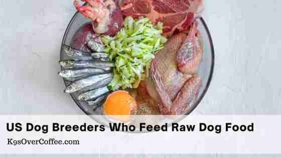 Barky Supplies Expert Tips Find Raw Dog Food Breeders in the USA | K9sOverCoffee Find Raw Dog Food Breeders in the USA | K9sOverCoffee