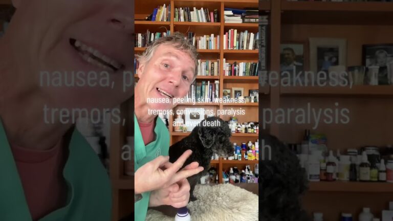 Barky Supplies Expert Tips Omega 3 Supplement Recall for Dogs & Cats: Warning! Omega 3 Supplement Recall