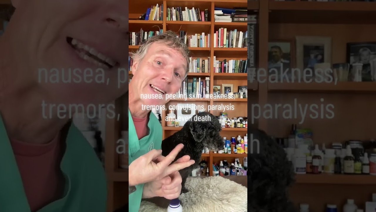 Barky Supplies Expert Tips Omega 3 Supplement Recall for Dogs & Cats: Warning! Omega 3 Supplement Recall