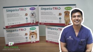 Simparica Trio Dog Protection