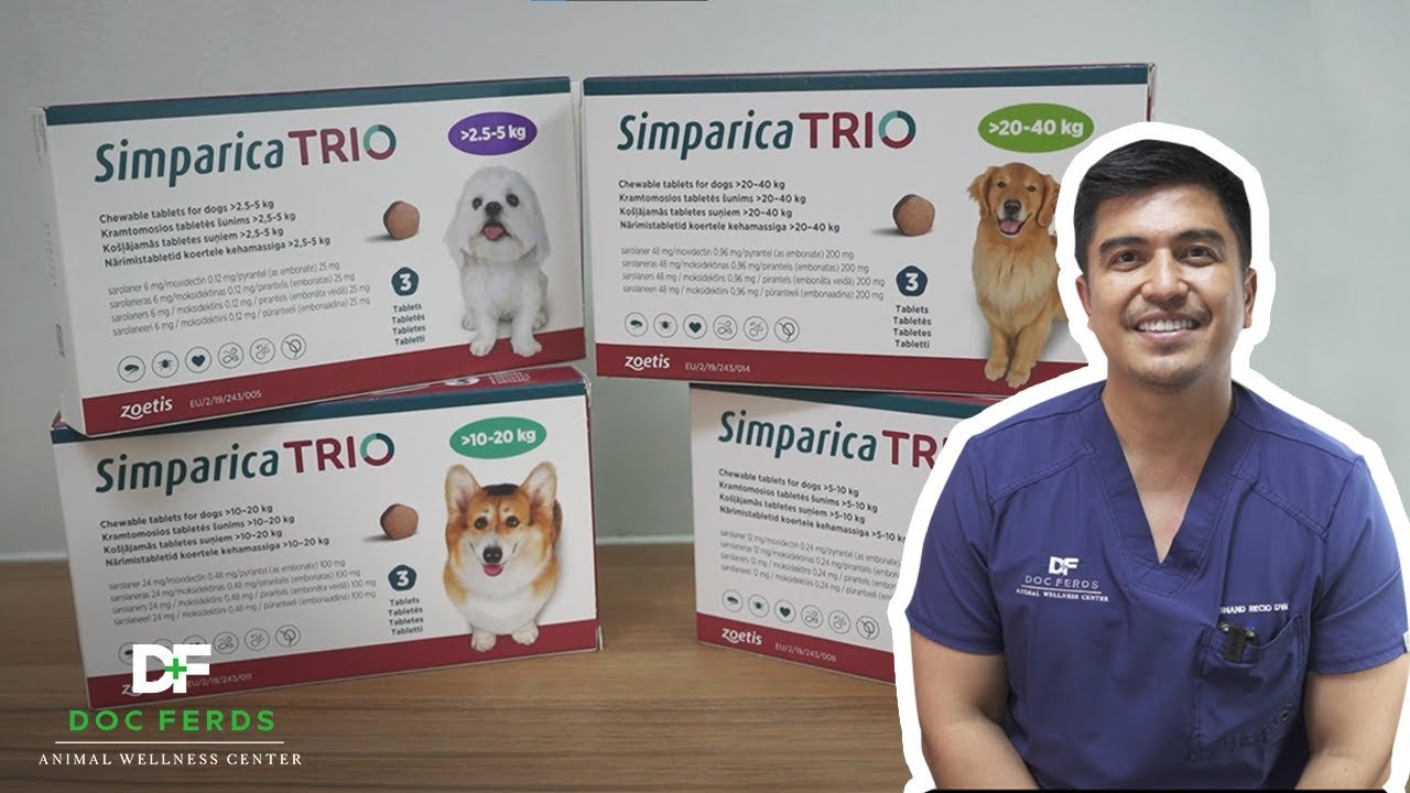 Barky Supplies Expert Tips Simparica Trio: New Dog Parasite Protection Simparica Trio Dog Protection