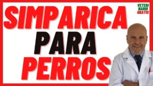 SIMPARICA for Dogs - Fleas & Ticks: Sizes & Prices