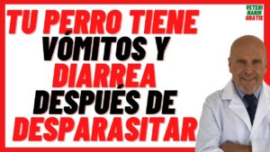 Dog Deworming Side Effects