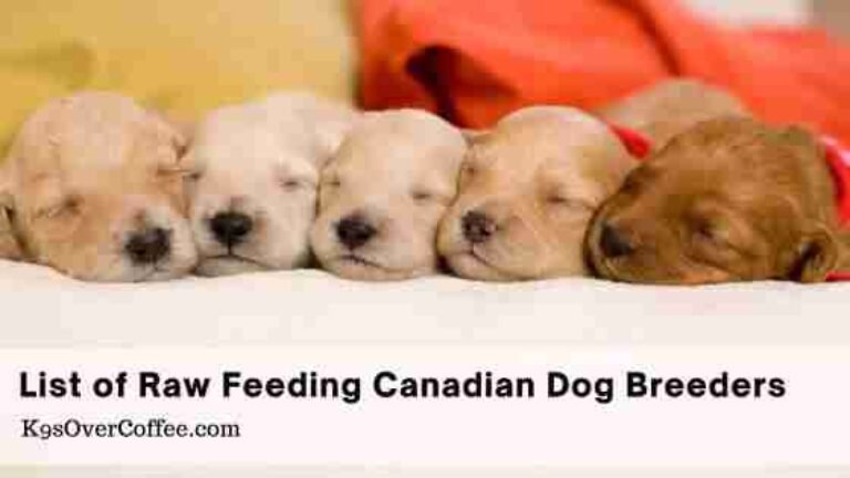 Barky Supplies Expert Tips Find Raw Fed Canadian Dog Breeders | K9sOverCoffee Raw Fed Canadian Dog Breeders