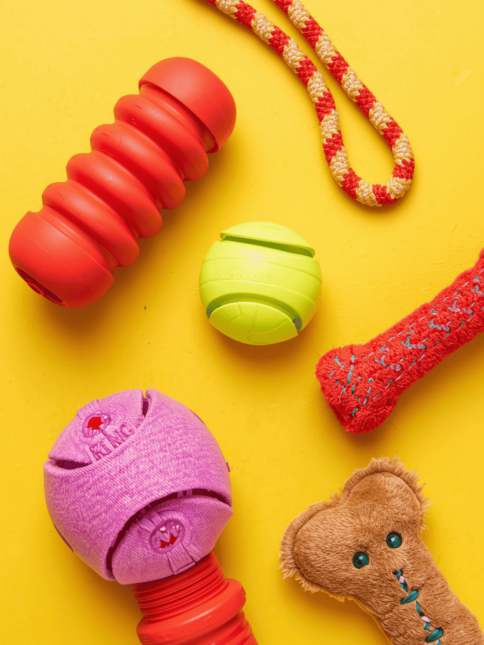 Colorful durable dog toys for aggressive chewers including red KONG rubber toy, rope toy, rubber ball, nylon chew bone, and tough plush toy on bright background